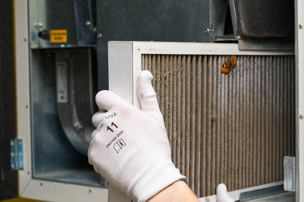 Best Affordable HVAC Duct Cleaning  in Live Oak, CA